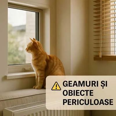 Pericole pentru pisici în apartament - geamuri, calorifere și jaluzele