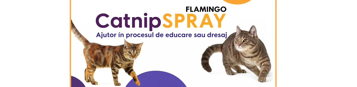 catnip spray pisici, spray iarba pisicii, atractant pisici, spray educare pisici