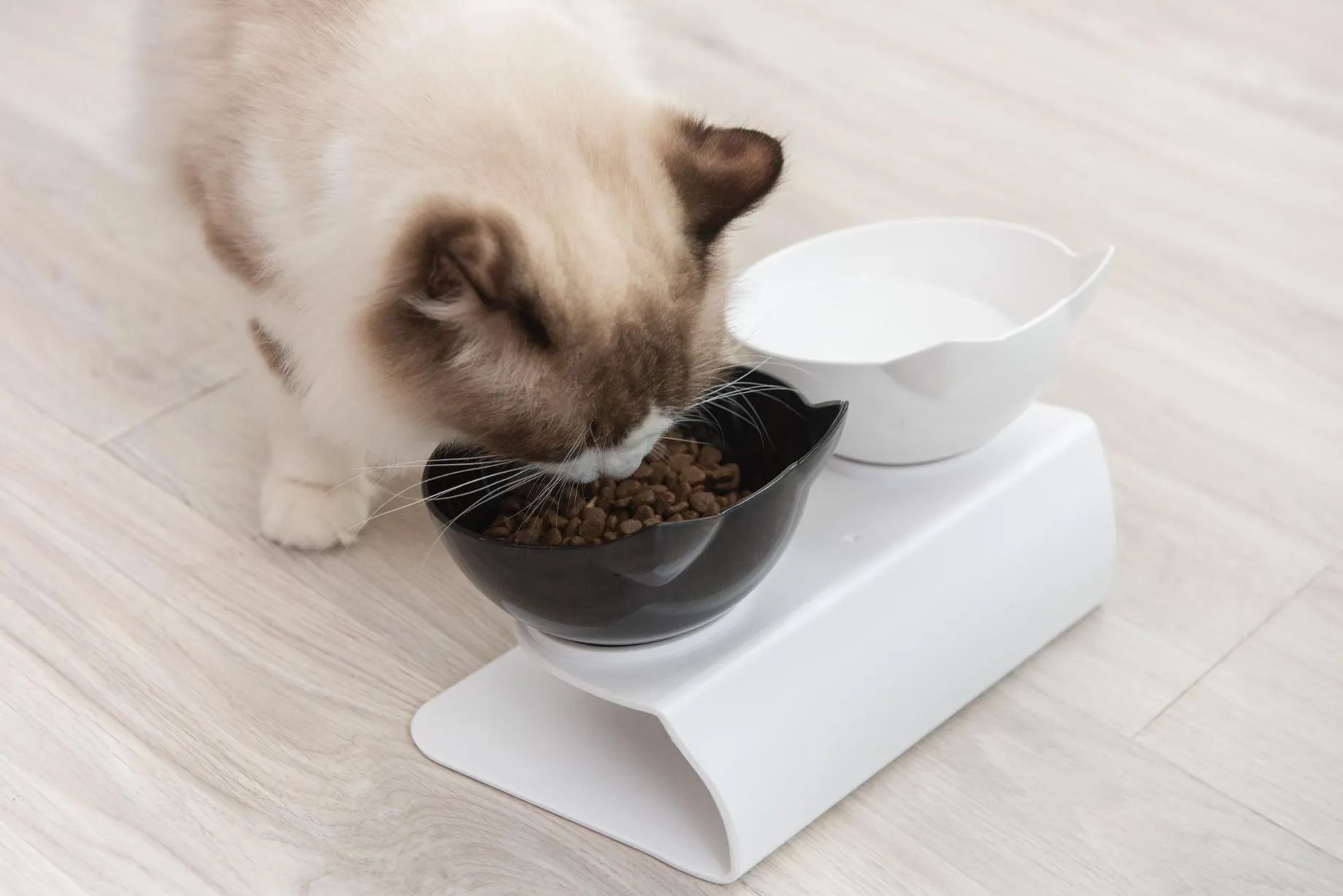 Set boluri alb-negru pentru pisici Happy Meow, din plastic non-toxic, cu înclinare de 15° și bază antiderapantă – confort și stabilitate la fiecare masă.