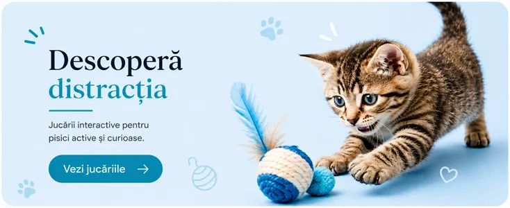Jucării pentru pisici mari si mici - Vezi Ofertele