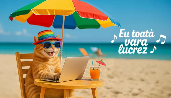 Toată vara lucrez - Suntem aici pentru tine și pisicuța ta