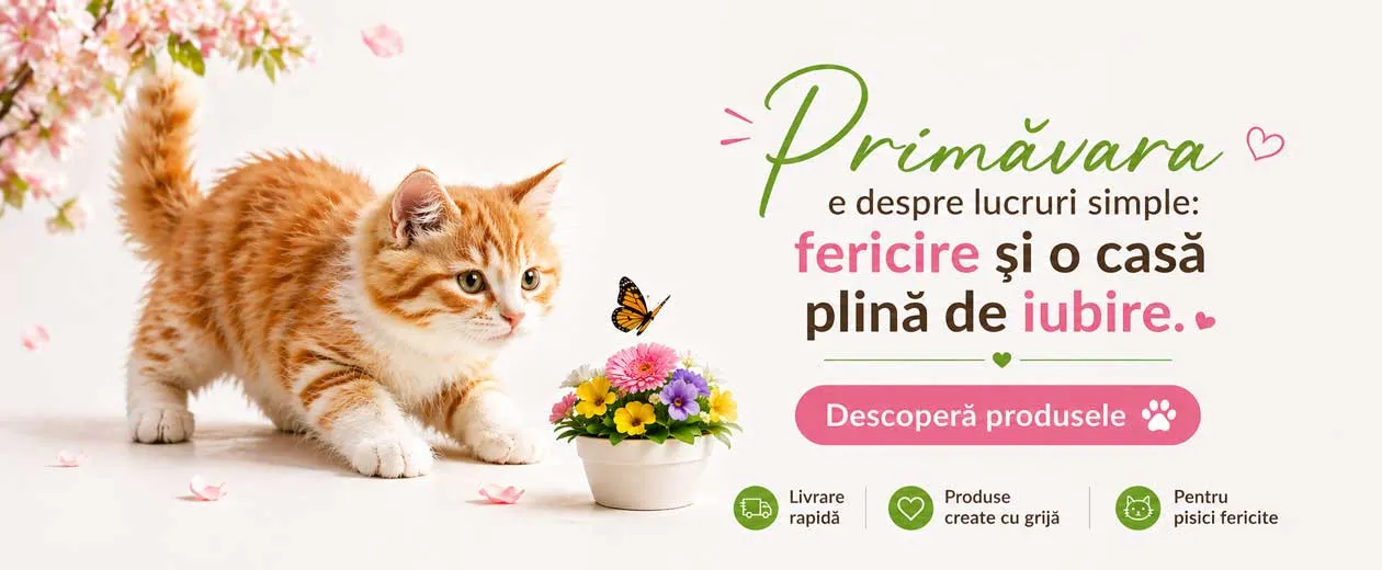 Jucarii amuzante pentru pisici - Descoperă selecția