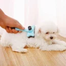 Perie blana pisici