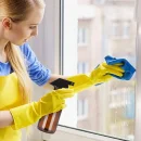 Pulverizator pentru plante și curățarea suprafețelor
