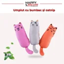 Jucării pentru pisici active cu catnip inclus